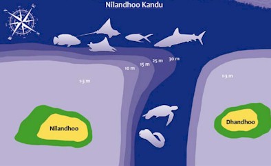 Nilandhoo Kandu